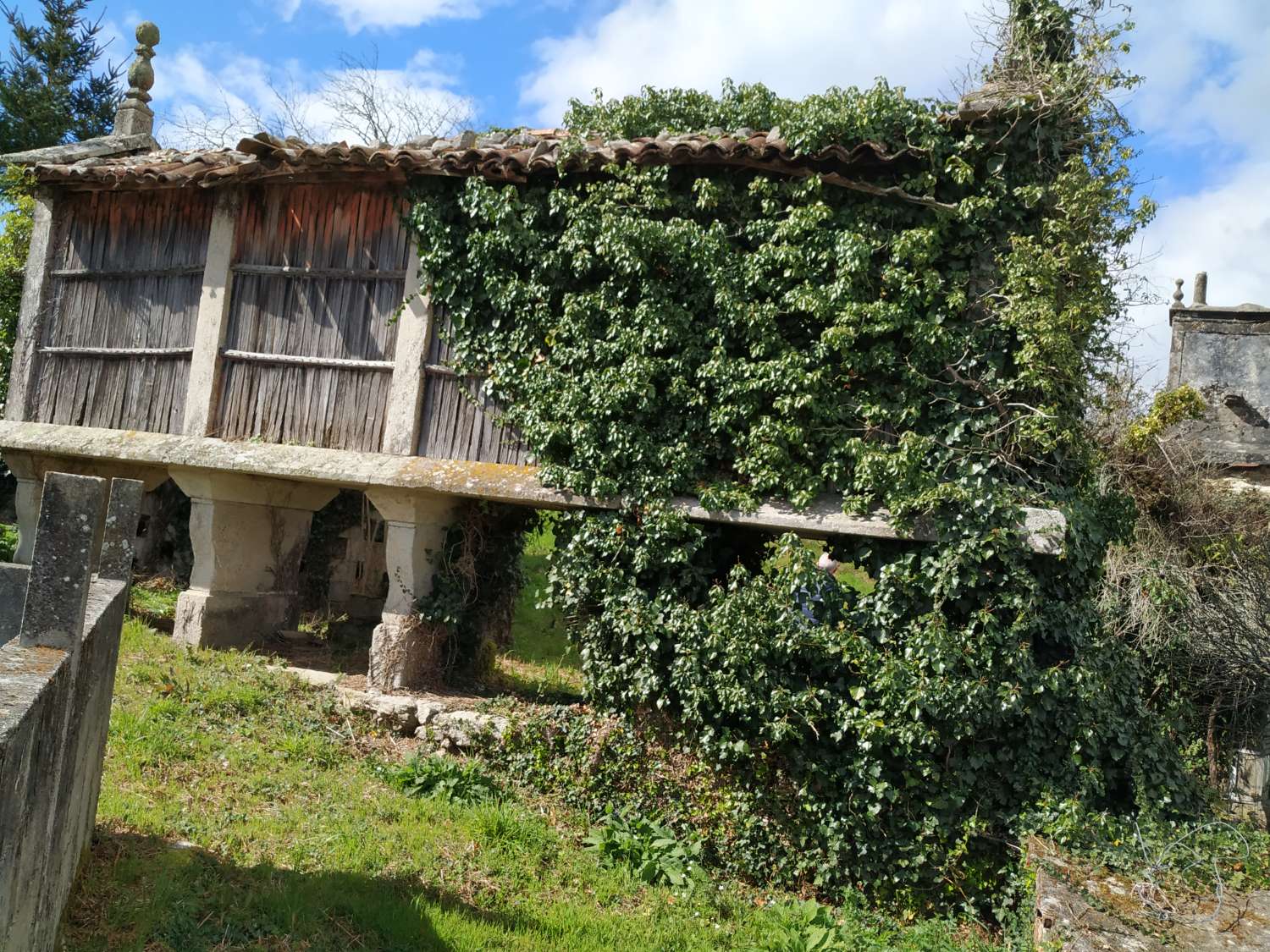 Venta casa de piedra para rehabilitar con terreno de 2.900 m2