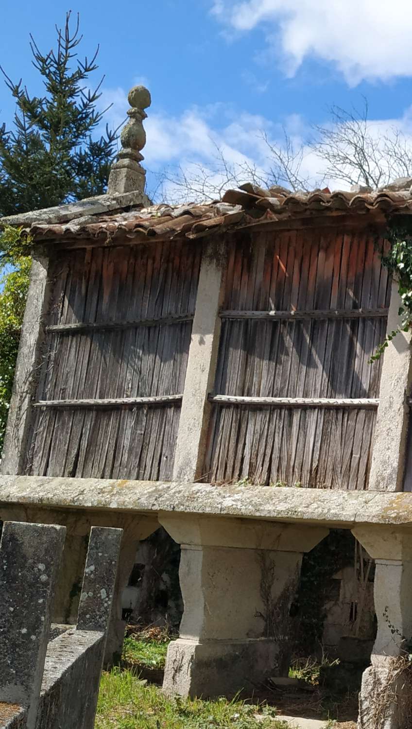 Venta casa de piedra para rehabilitar con terreno de 2.900 m2